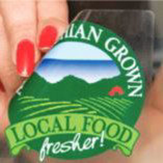 Guandong Soft Vynil Cling Static