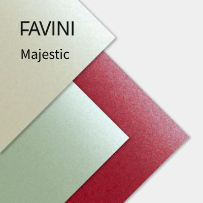 Slika FAVINI